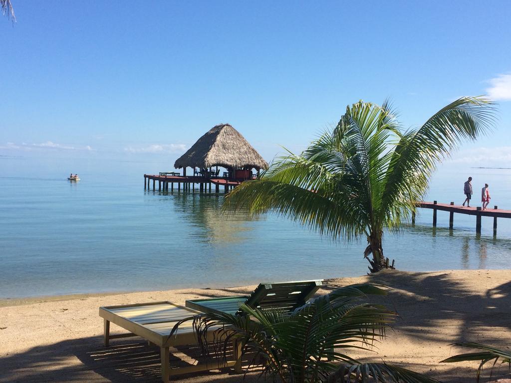 罗伯特丛林海滩度假酒店 Placencia 外观 照片