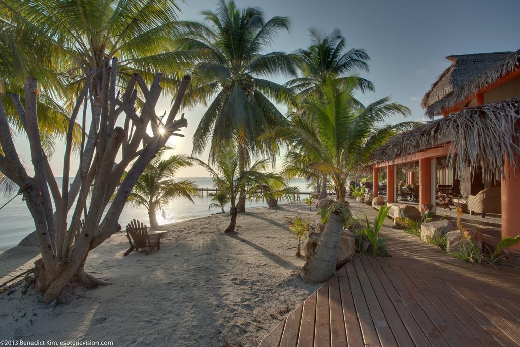 罗伯特丛林海滩度假酒店 Placencia 外观 照片