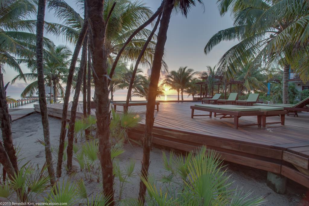 罗伯特丛林海滩度假酒店 Placencia 外观 照片