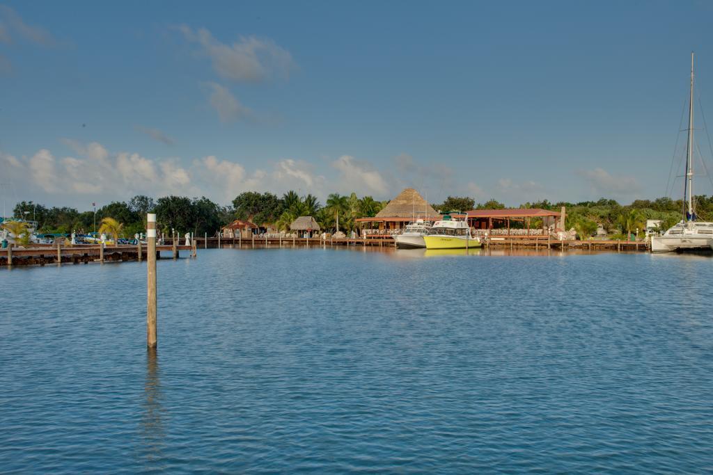 罗伯特丛林海滩度假酒店 Placencia 外观 照片