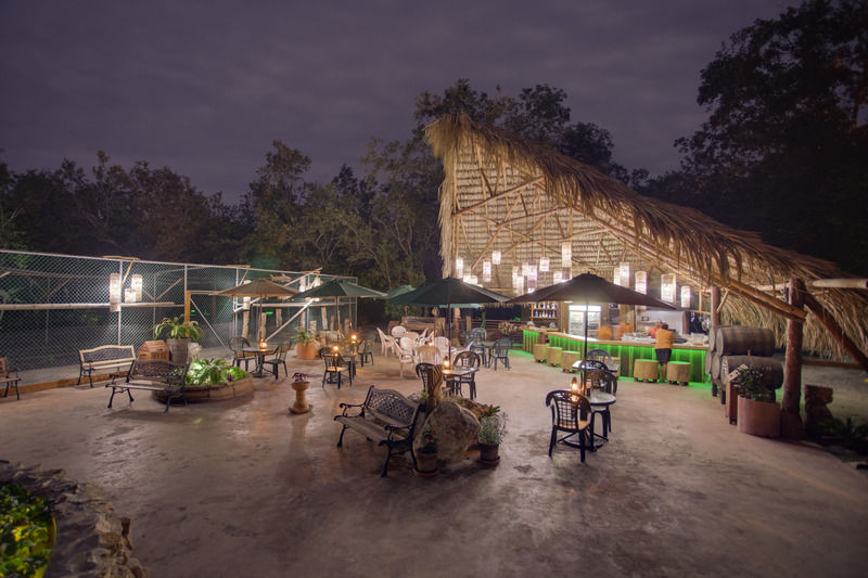 罗伯特丛林海滩度假酒店 Placencia 外观 照片
